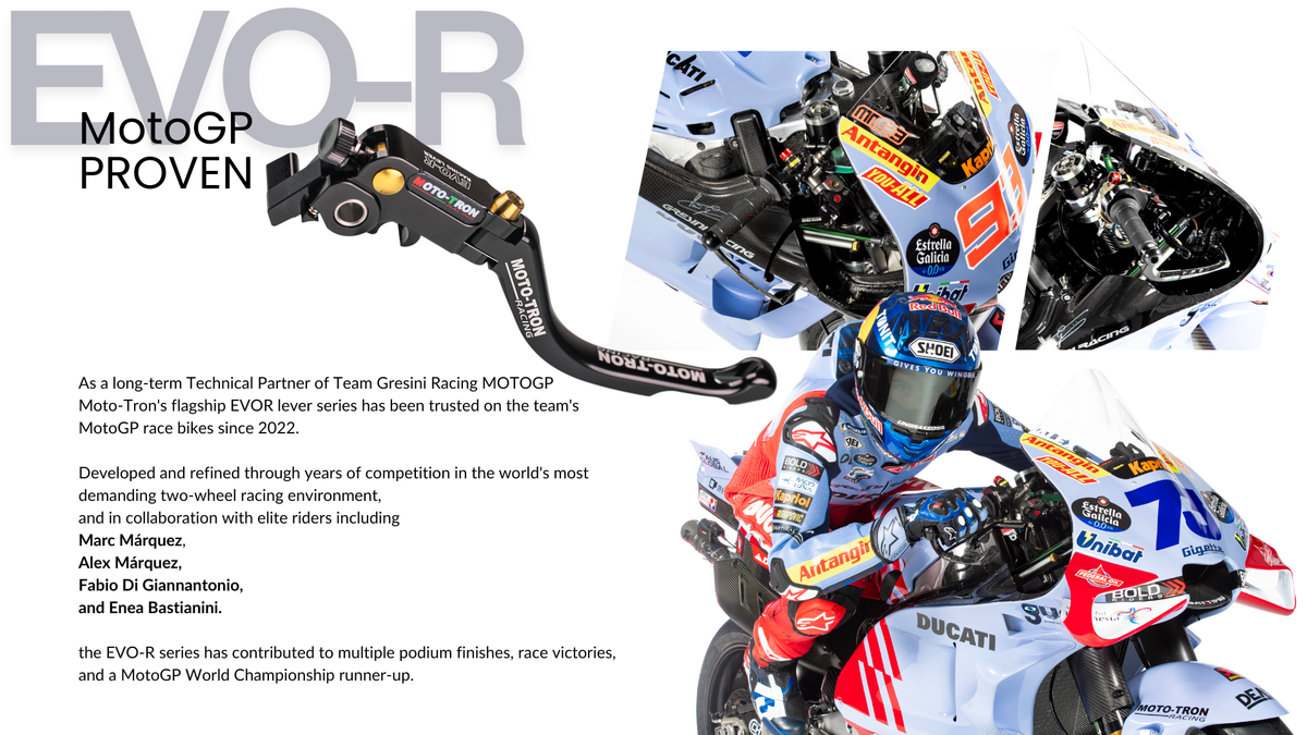 MOTO-TRON EVO-R Levers - QJMotor