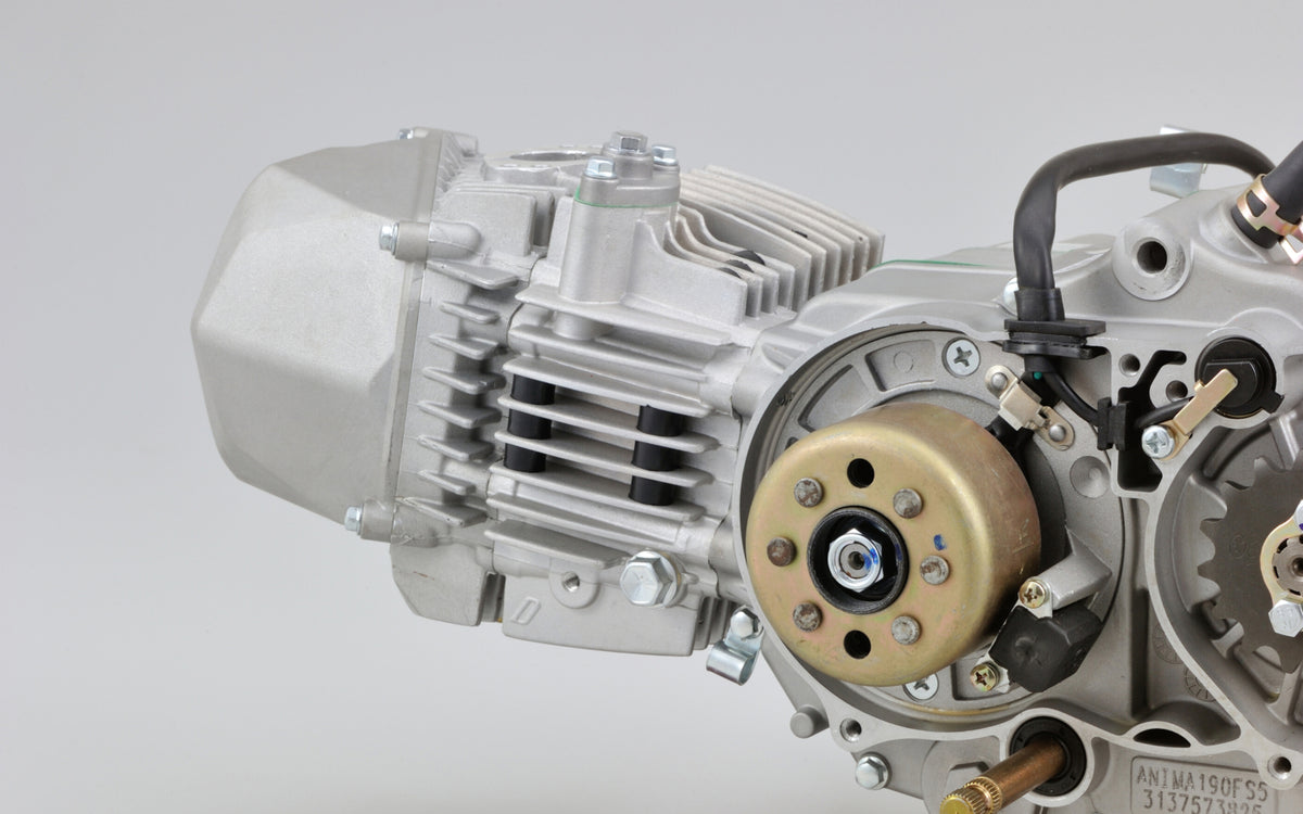 Daytona Anima 190 FSM lightweight magneto rotor