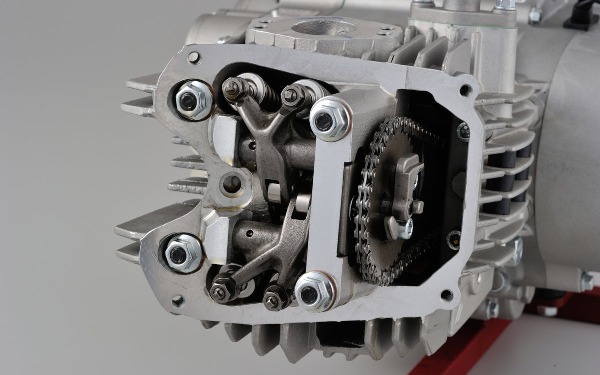 Daytona Anima 190 4-valve head detail